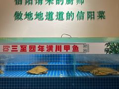 -西郊竹园甲鱼面(老一中店)