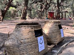 -北海金海湾红树林生态旅游区