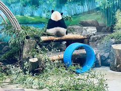 -杭州动物园