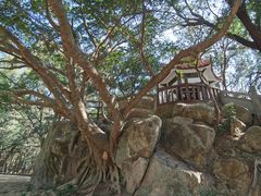 -宋井风景区