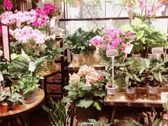 -豆豆花艺(新光天地店)