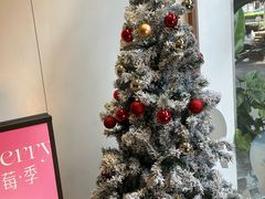-DEMO黛慕蛋糕(三街两巷店)