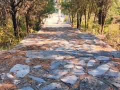 -锦屏山旅游度假区