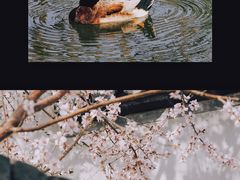 -三里河公园