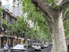 -La Strada(安福路店)