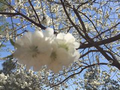 -永定河休闲森林公园