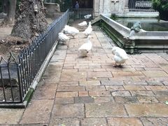 -巴塞罗那主教座堂