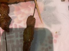 -北丐先生·野馄饨烧烤(泰达E街区店)
