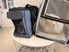 -关爱宠物医院·猫科中心·消化科(滨湖万达分院)