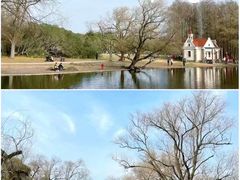 -上海共青森林公园