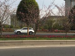 -Bco豆库(星耀天地店)