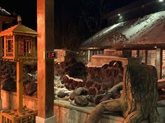 -汉拿山温泉度假酒店