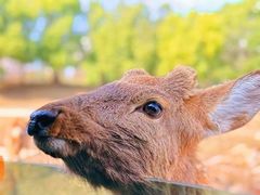 -常州淹城野生动物世界