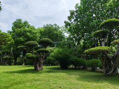 -南宁南湖公园