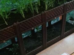 -孙三拨按摩(大纺店)