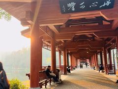 -重庆彩云湖湿地公园