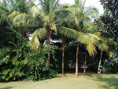 -白沙门生态公园