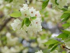 -白塘生态植物园