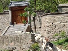 -封龙山风景区