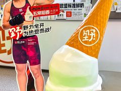 -野人先生现做冰淇淋(北京悠唐购物中心店)