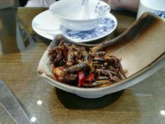 -福照楼汽锅鸡·云南菜(护国路店)