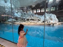 -帝企鹅自助餐厅•儿童岛•真企鹅(长隆企鹅酒店)