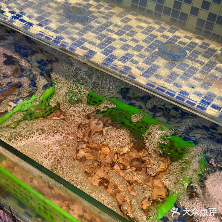 🐙炭烤八爪鱼的神仙吃法！Q弹到能跳舞💃