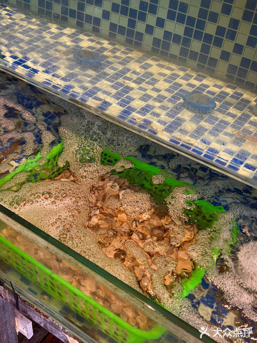 🐙炭烤八爪鱼的神仙吃法！Q弹到能跳舞💃