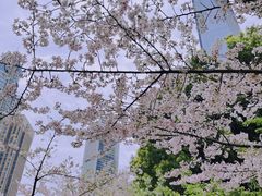 -陆家嘴中心绿地