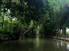 -同里国家湿地公园