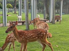 -东南花都花博园