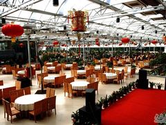 大厅-龙凤山庄(永定镇店)