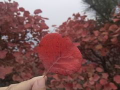 -水峪民俗村