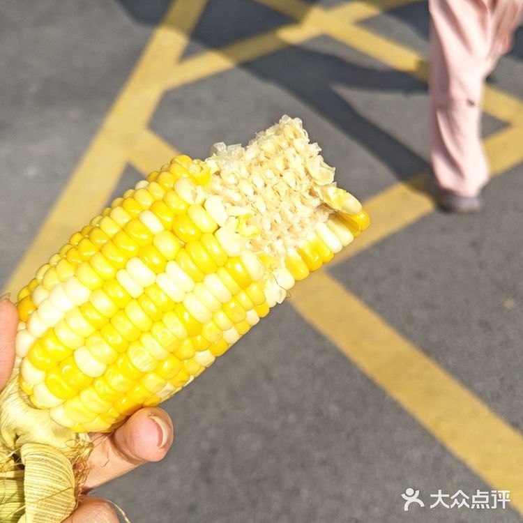 减脂小零食
