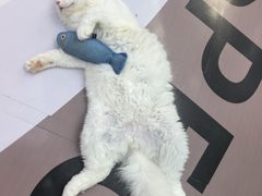 -星巴克臻选(珠海富华里店)
