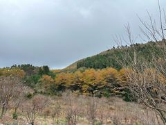 -四明山国家森林公园