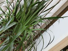 -星巴克(北京通州新光大中心店)