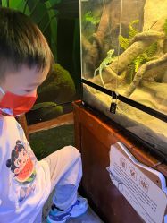 -酷嗒动物文化乐园(cutezoo西溪乐天城店)