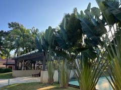 -三亚海棠湾万丽度假酒店