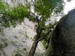 -雁荡山灵峰景区