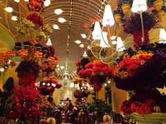 -拉斯维加斯永利酒店