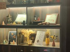 -雪灵魔法世界SHELLY’S TAROT(大良桂畔里店)