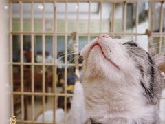 -情忆草原涮肉馆