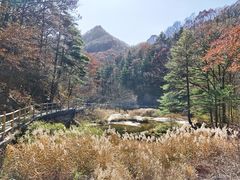 -洛阳白云山景区
