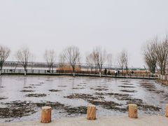 -绿堤公园