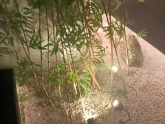 -新紫霞养生·影院足道·SPA(金山区店)