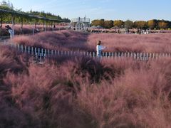 -嘉北郊野公园