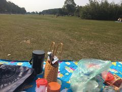 -艾溪湖湿地公园