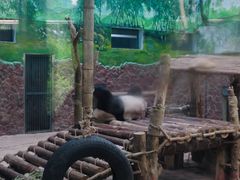 -黔灵山公园