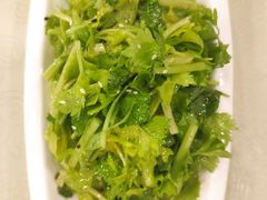 炝拌香芹菜-东四民芳餐厅(世茂工三店)